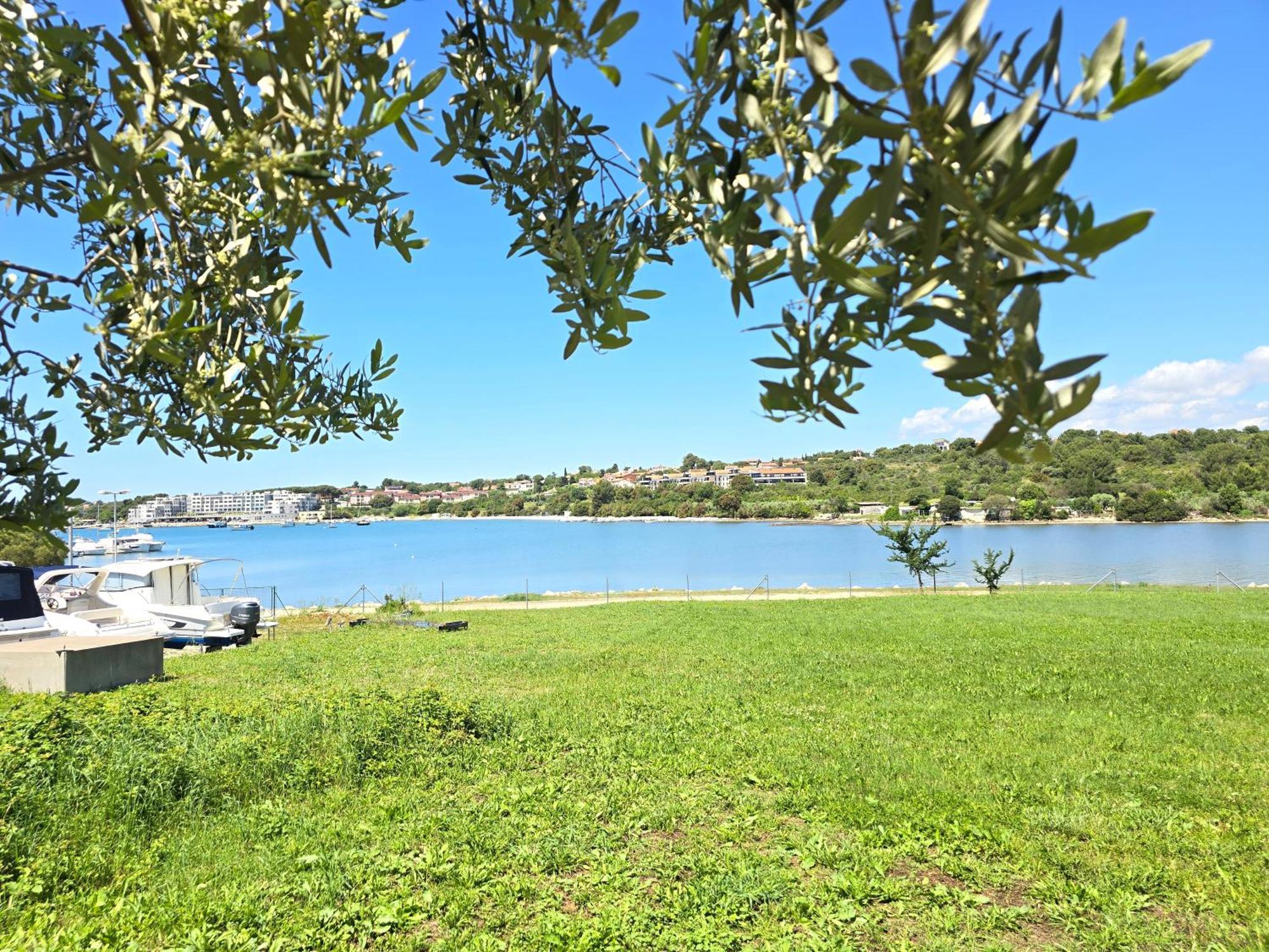 Olive Garden, Apartment With A Private Pool Banjole Exteriör bild